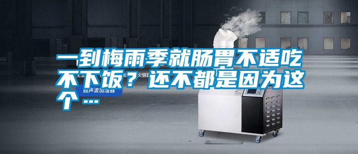 一到梅雨季就腸胃不適吃不下飯？還不都是因為這個…