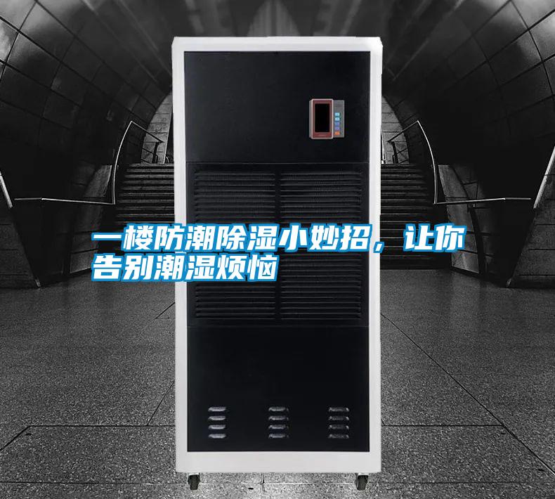 一樓防潮除濕小妙招，讓你告別潮濕煩惱