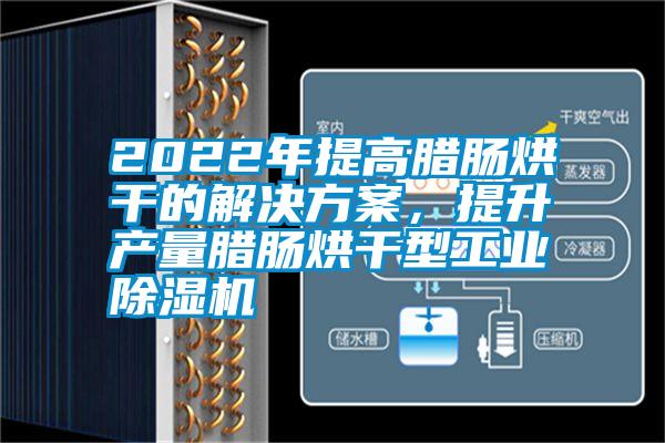 2022年提高臘腸烘干的解決方案，提升產量臘腸烘干型工業除濕機