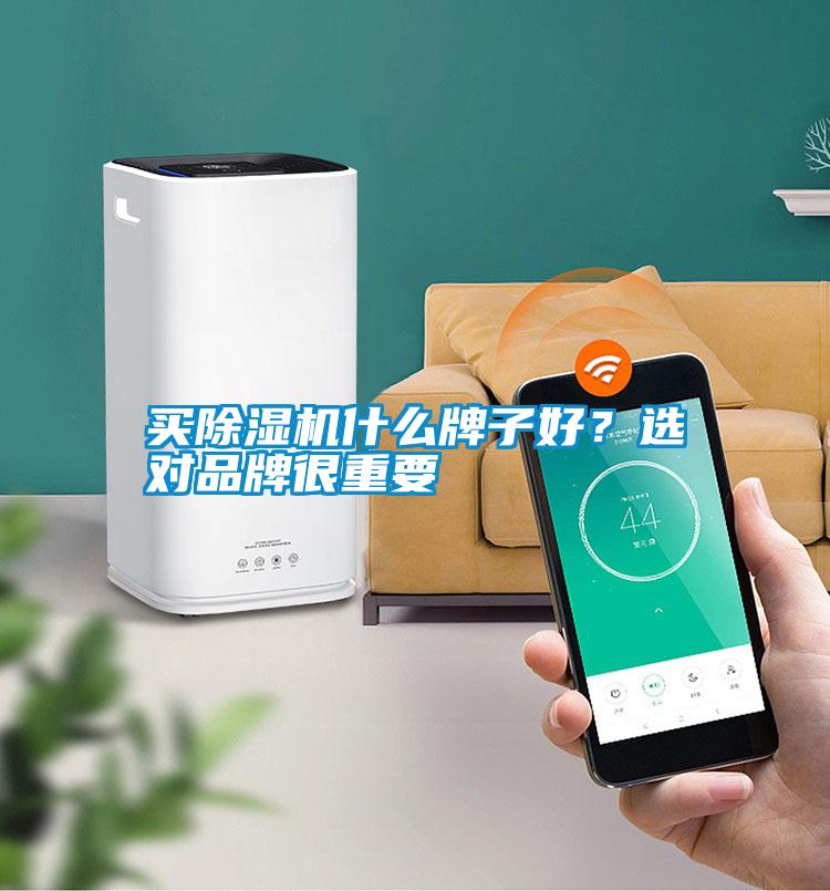 買除濕機什么牌子好？選對品牌很重要