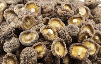 1600236589831374.png 1.png