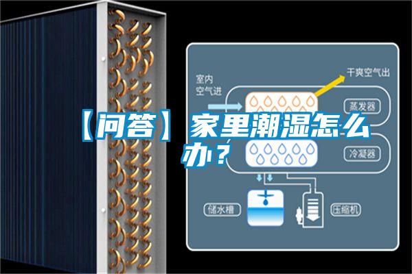 【問答】家里潮濕怎么辦?