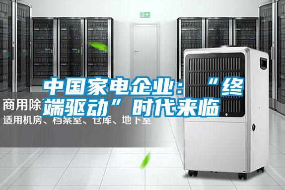 中國(guó)家電企業(yè):“終端驅(qū)動(dòng)”時(shí)代來(lái)臨