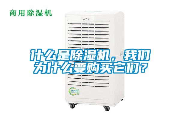 什么是除濕機，我們為什么要購買它們？