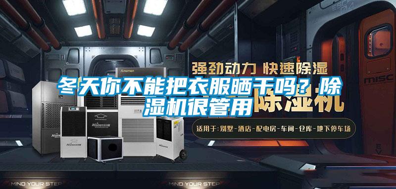 冬天你不能把衣服曬干嗎?除濕機很管用