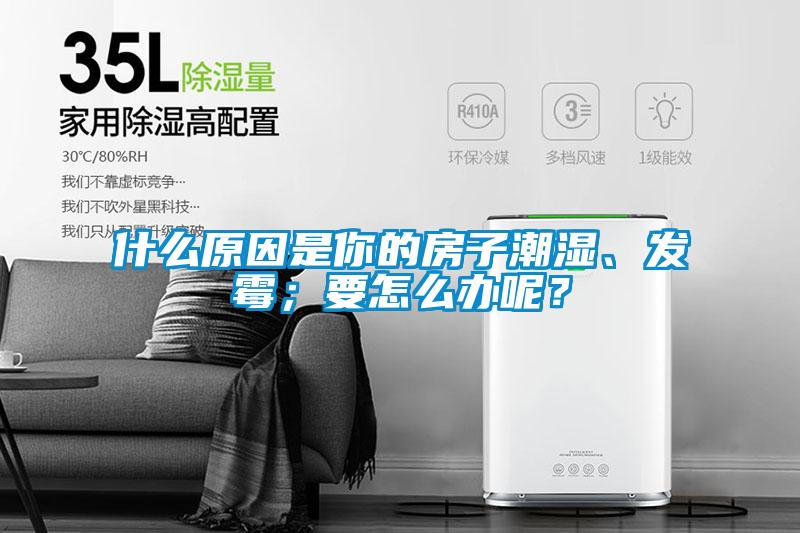 什么原因是你的房子潮濕、發霉；要怎么辦呢？