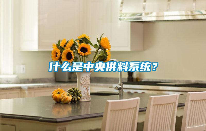 什么是中央供料系統?