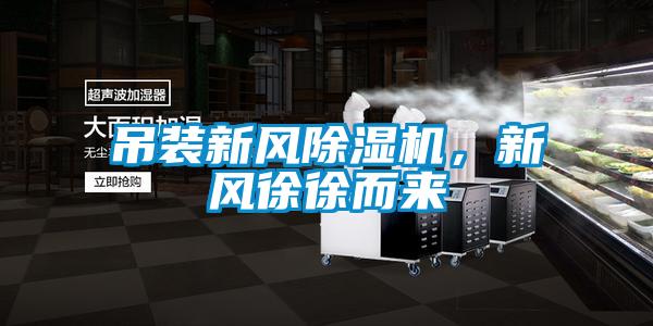吊裝新風(fēng)除濕機(jī),新風(fēng)徐徐而來