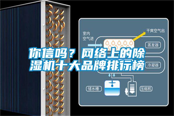 你信嗎?網(wǎng)絡(luò)上的除濕機(jī)十大品牌排行榜