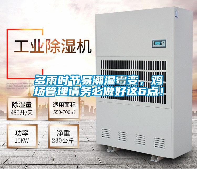 多雨時節易潮濕霉變,雞場管理請務必做好這6點!