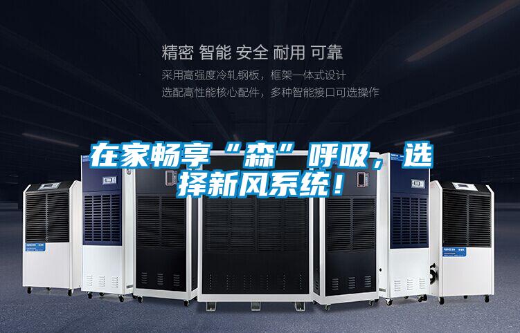 在家暢享“森”呼吸，選擇新風(fēng)系統(tǒng)！