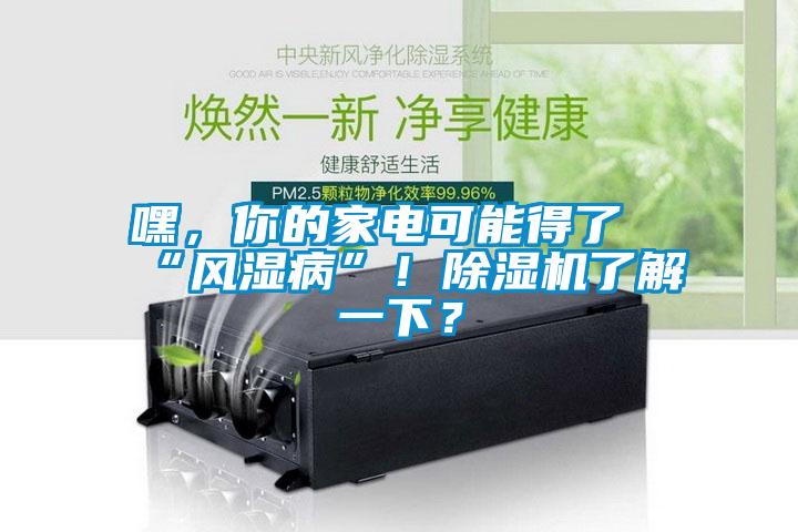 嘿,你的家電可能得了“風(fēng)濕病”!除濕機(jī)了解一下?