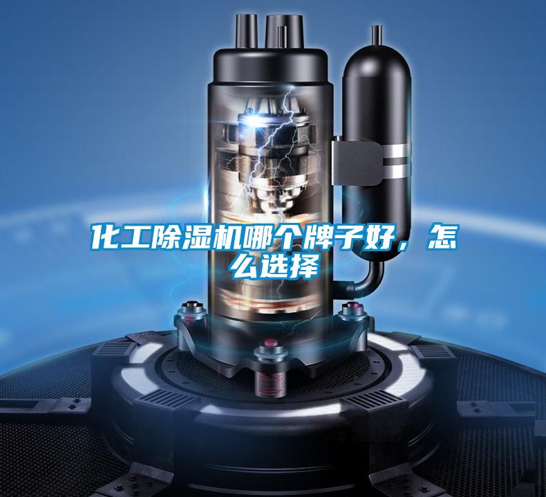 化工除濕機(jī)哪個牌子好,怎么選擇