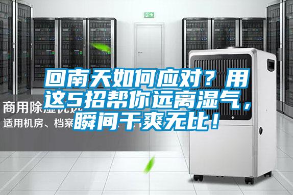 回南天如何應對？用這5招幫你遠離濕氣，瞬間干爽無比！