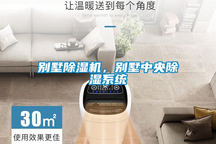 別墅除濕機,別墅中央除濕系統(tǒng)