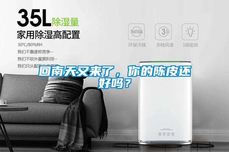 回南天又來了，你的陳皮還好嗎？