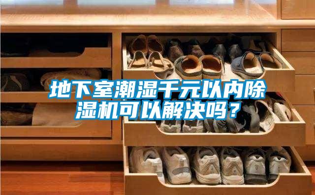 地下室潮濕千元以內(nèi)除濕機(jī)可以解決嗎?