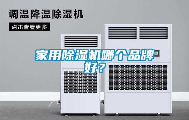 家用除濕機哪個品牌好?