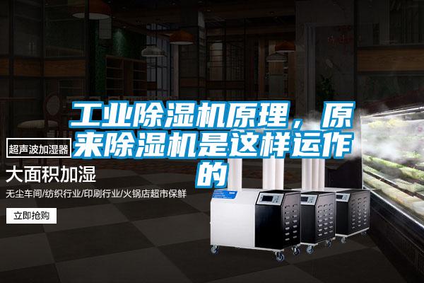 工業(yè)除濕機(jī)原理,原來(lái)除濕機(jī)是這樣運(yùn)作的