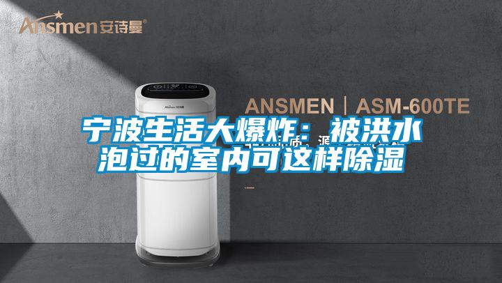 寧波生活大爆炸:被洪水泡過的室內(nèi)可這樣除濕