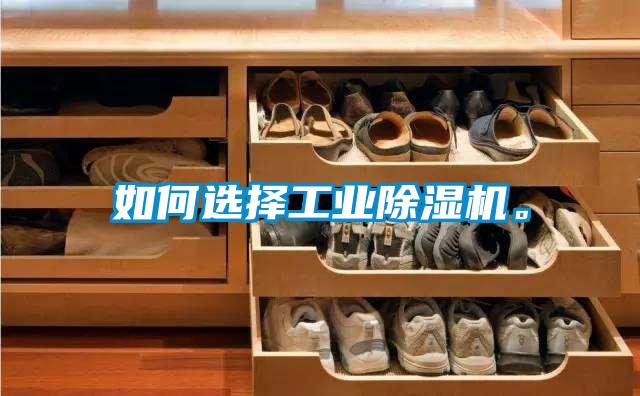 如何選擇工業(yè)除濕機(jī)。