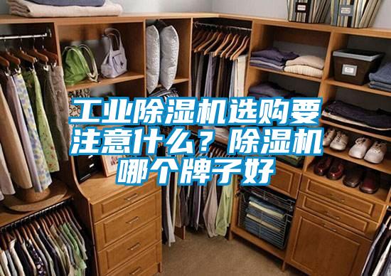 工業除濕機選購要注意什么？除濕機哪個牌子好
