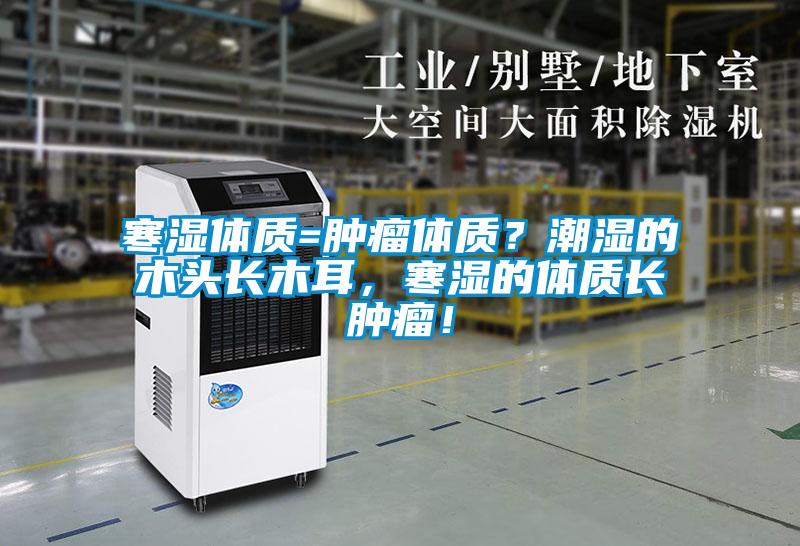 寒濕體質=腫瘤體質?潮濕的木頭長木耳,寒濕的體質長腫瘤!