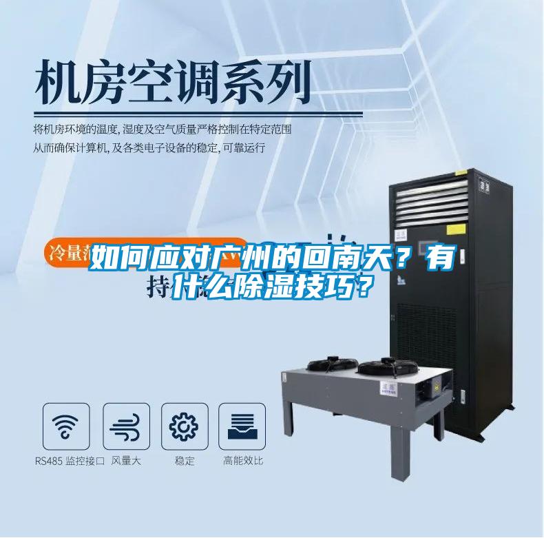 如何應(yīng)對廣州的回南天?有什么除濕技巧?