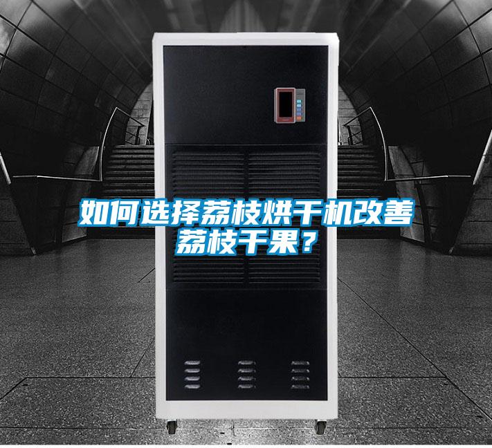 如何選擇荔枝烘干機(jī)改善荔枝干果?