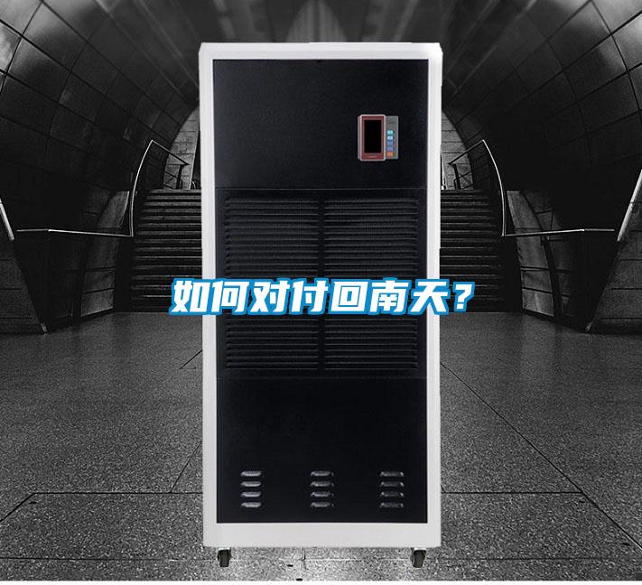 如何對付回南天?