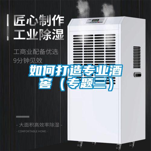 如何打造專業(yè)酒窖(專題三)