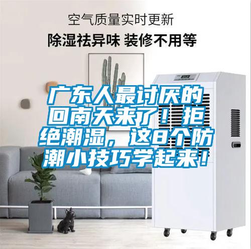 廣東人最討厭的回南天來了!拒絕潮濕,這8個防潮小技巧學起來!