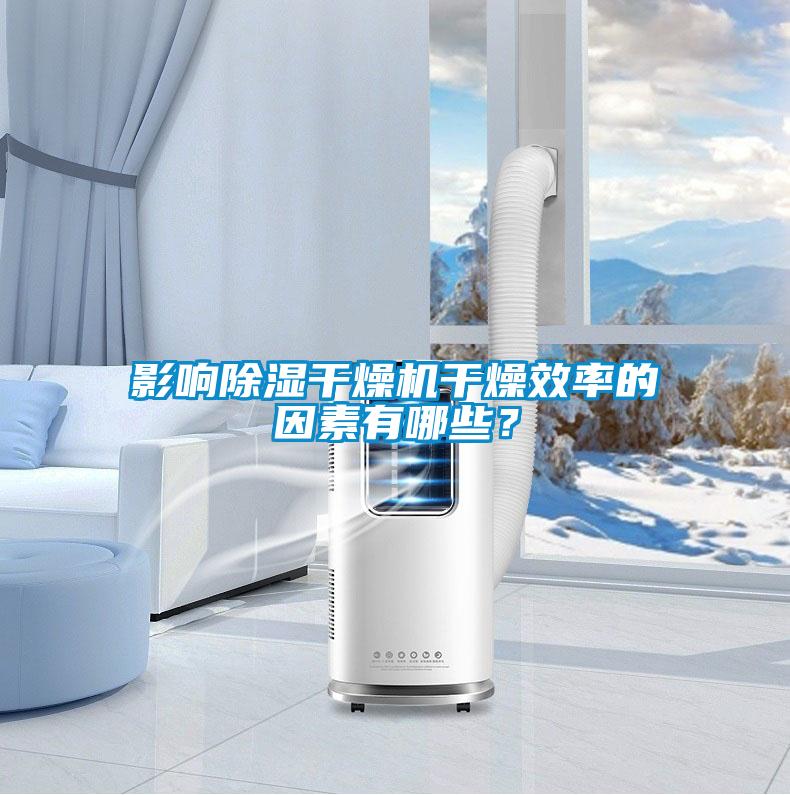 影響除濕干燥機(jī)干燥效率的因素有哪些?