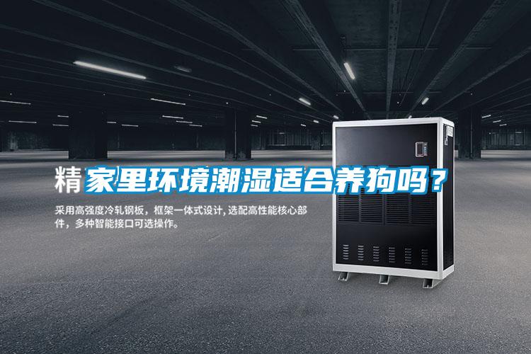 家里環境潮濕適合養狗嗎?