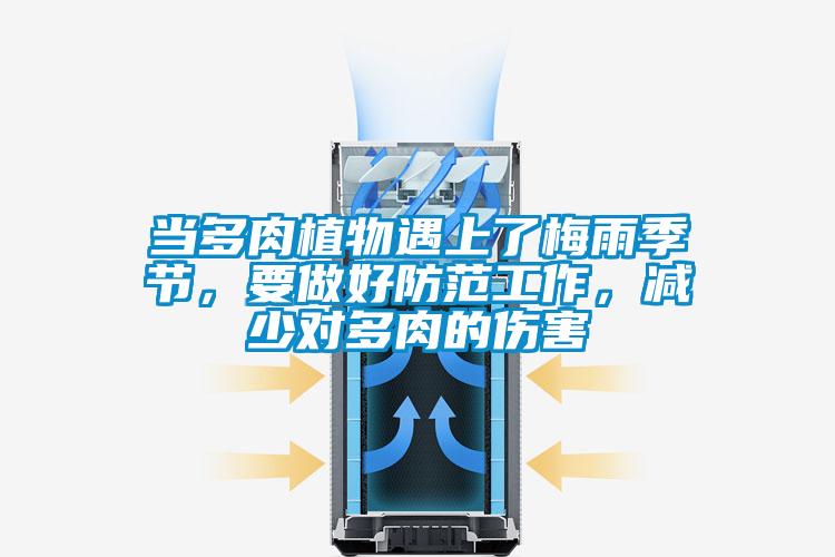 當多肉植物遇上了梅雨季節,要做好防范工作,減少對多肉的傷害