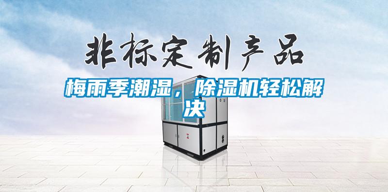 梅雨季潮濕,除濕機輕松解決