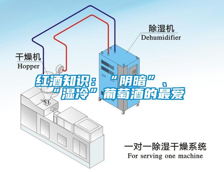 紅酒知識：“陰暗”、“濕冷”葡萄酒的最愛
