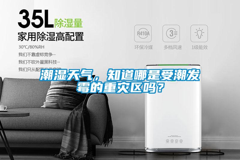 潮濕天氣，知道哪是受潮發(fā)霉的重災區(qū)嗎？