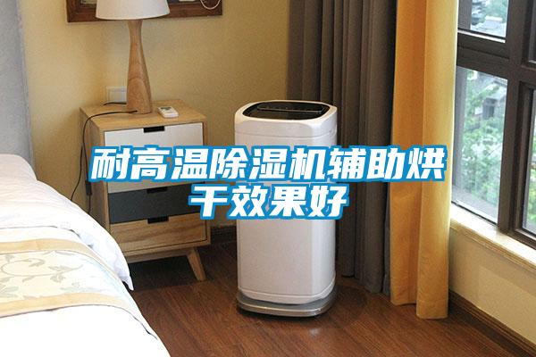 耐高溫除濕機輔助烘干效果好