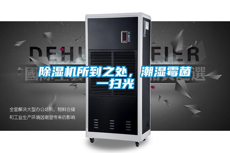 除濕機所到之處，潮濕霉菌一掃光