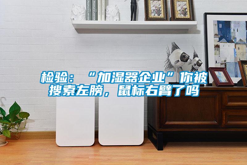 檢驗:“加濕器企業(yè)”你被搜索左膀,鼠標右臂了嗎