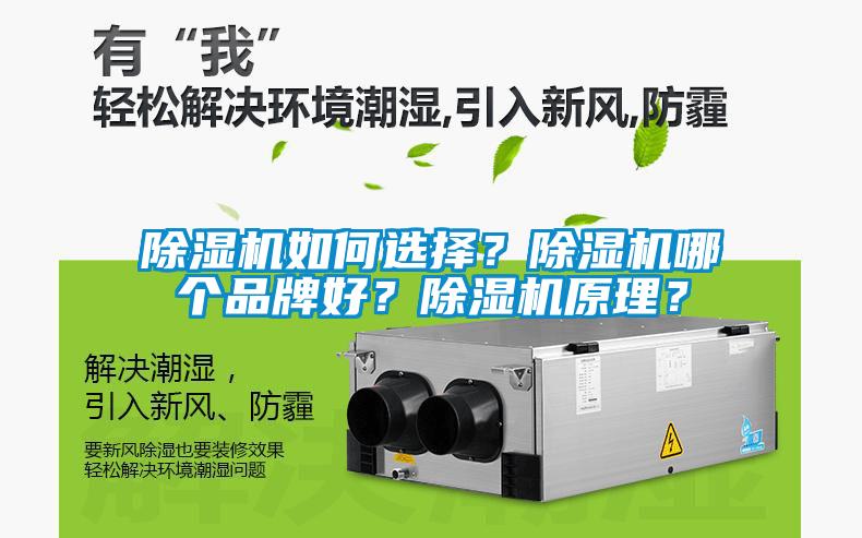 除濕機如何選擇?除濕機哪個品牌好?除濕機原理?