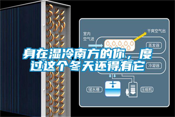 身在濕冷南方的你,度過這個冬天還得有它