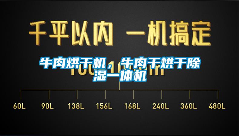 牛肉烘干機，牛肉干烘干除濕一體機