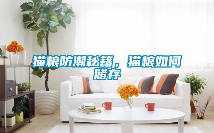 貓糧防潮秘籍，貓糧如何儲存