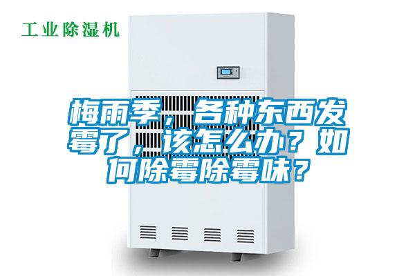 梅雨季,各種東西發(fā)霉了,該怎么辦?如何除霉除霉味?