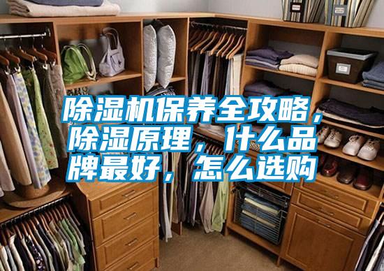 除濕機保養全攻略,除濕原理,什么品牌最好,怎么選購