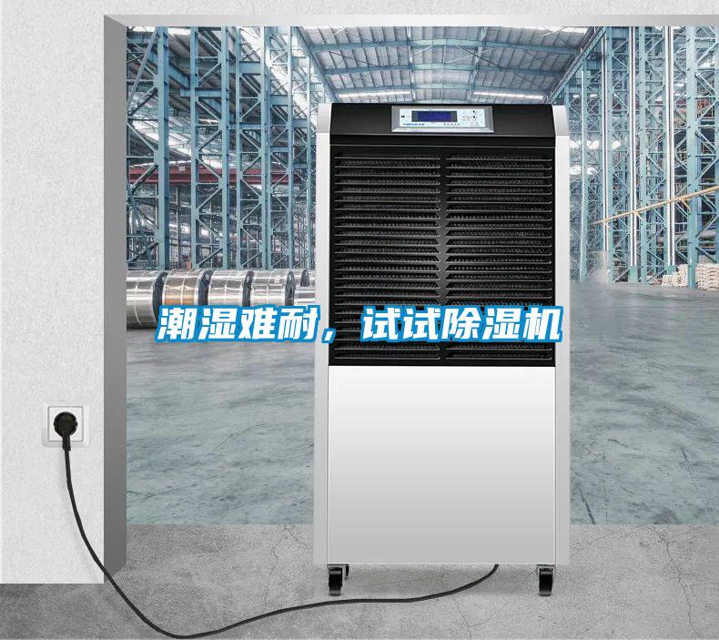 潮濕難耐，試試除濕機(jī)