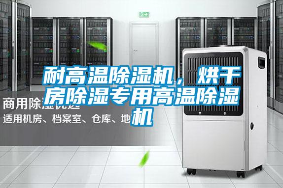 耐高溫除濕機(jī),烘干房除濕專用高溫除濕機(jī)