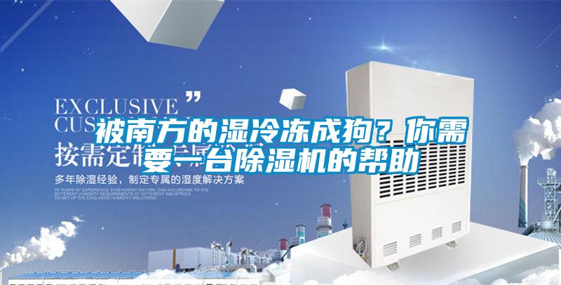 被南方的濕冷凍成狗?你需要一臺(tái)除濕機(jī)的幫助